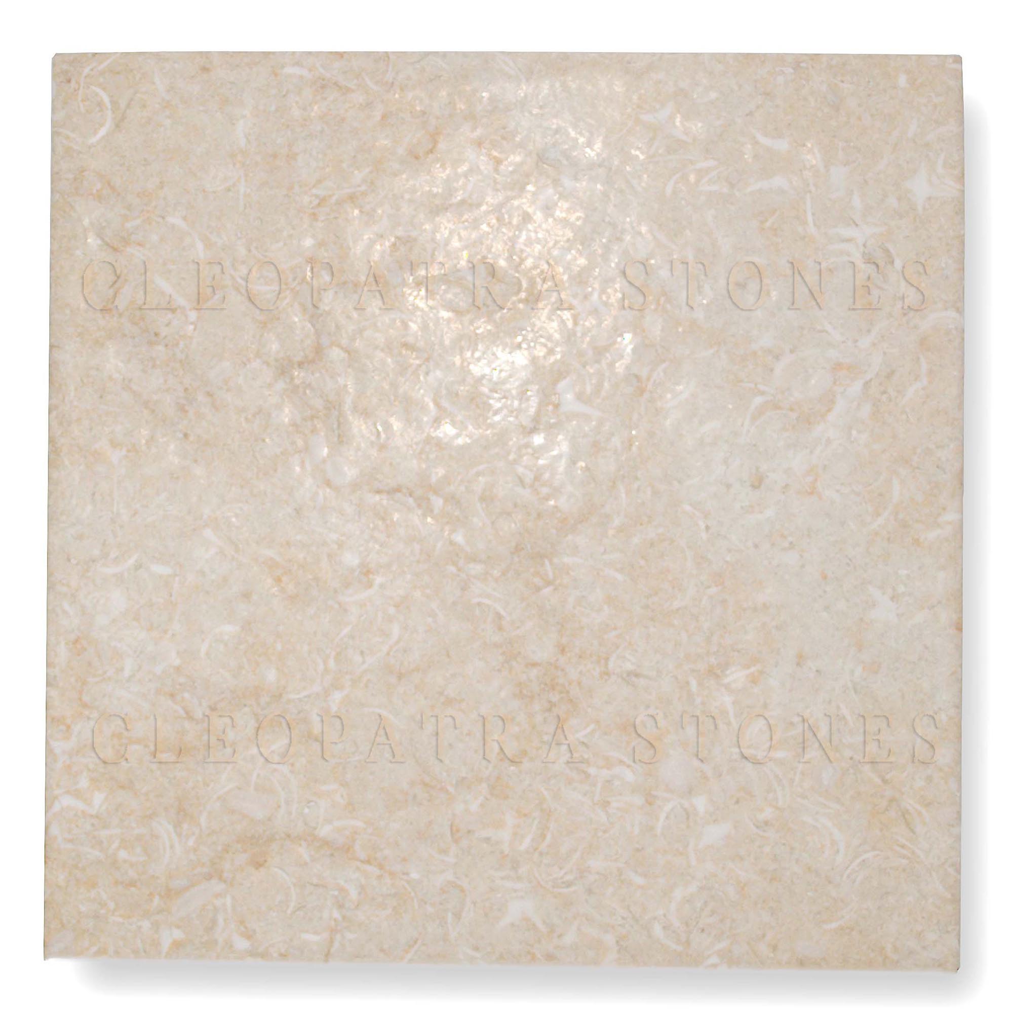 New Beige Special Antique 10